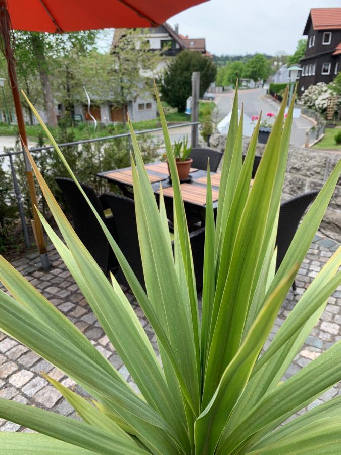 Hotel-pension Teutonia Braunlage