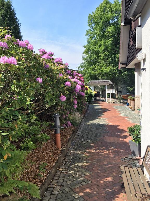 Hotel Hotel-pension Teutonia Braunlage